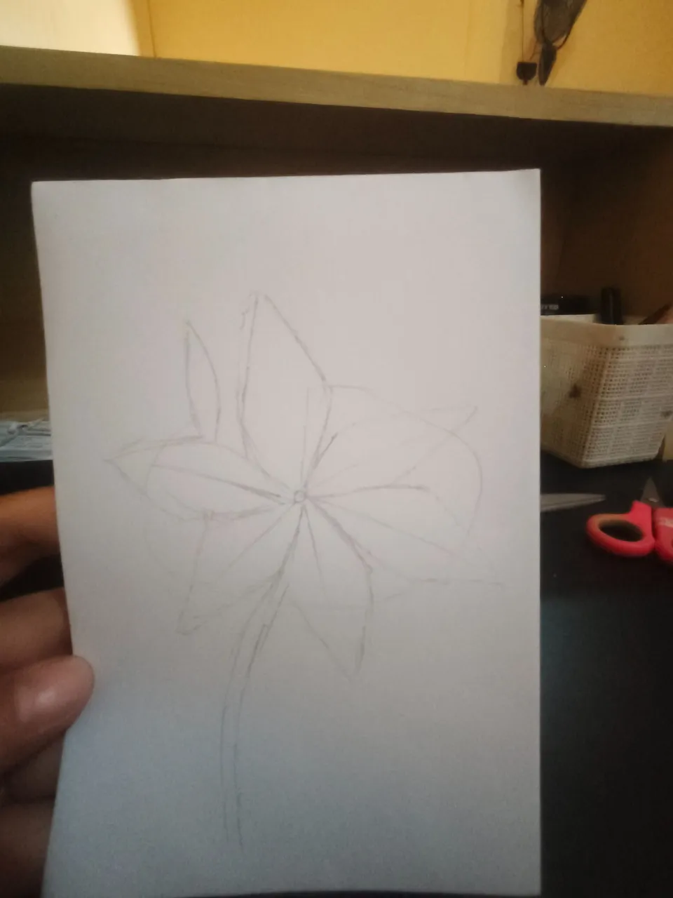 1000274736.jpg