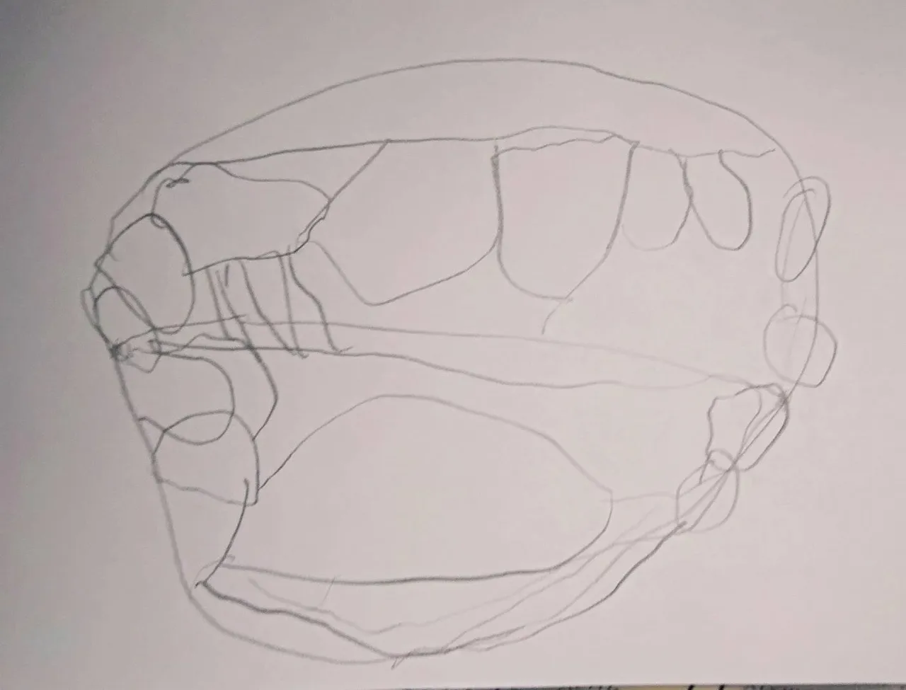 91774253_3575719035776766_4394389659984068608_n.jpg