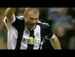 BackGloriousAdeliepenguin-max-1mb.gif