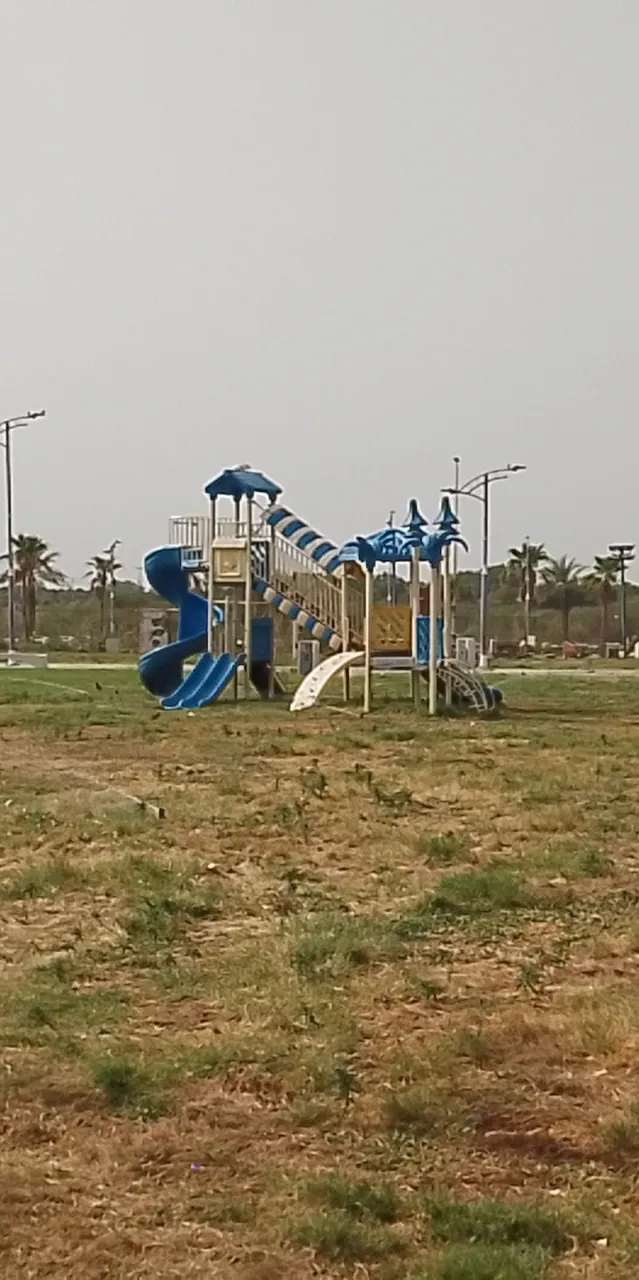 dd6b6c7d-b43b-43d3-8078-20c9f5d85f37photo.png.jpeg