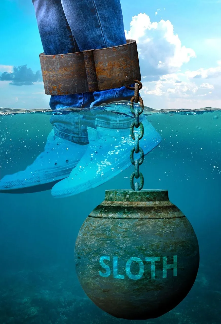 sloth-7139741_1280.jpg
