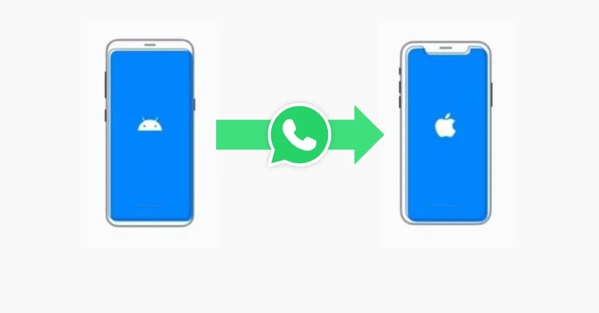 How to Transfer WhatsApp data from Android to iPhone.jpg