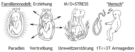 Vater-Mutter 1. Sohn - 1. Tochter 2S-2T 3S-3T in Analogie zum Geburtsprozess