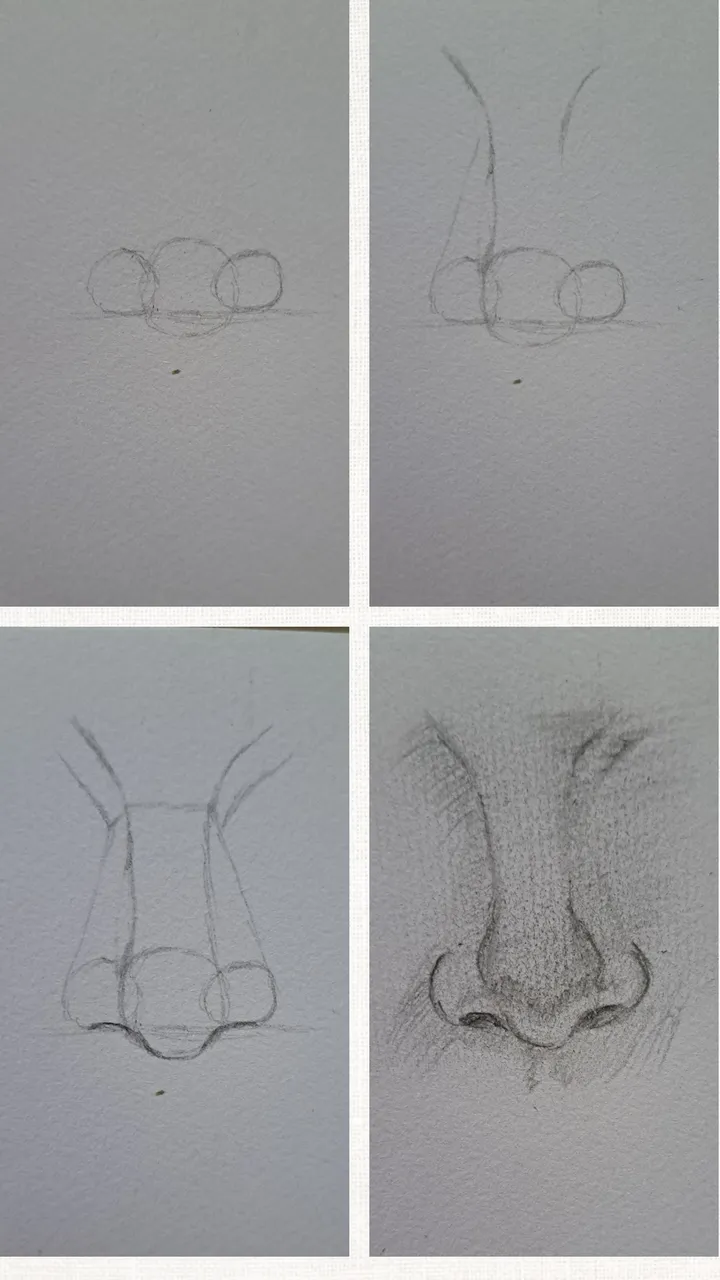1000313410.png