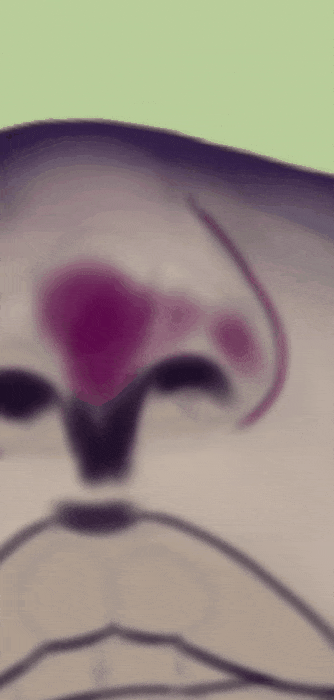 20220325_133429.gif