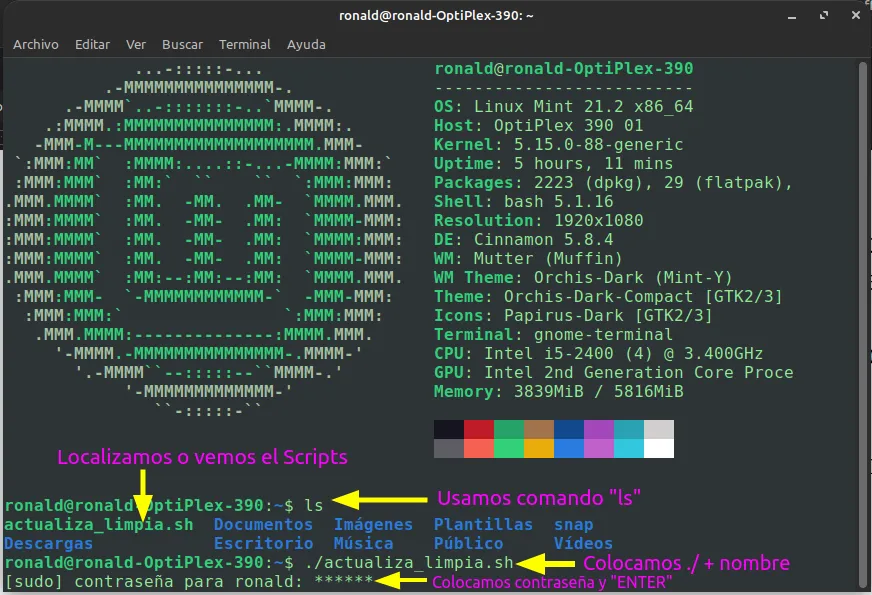 usando_scripts.png