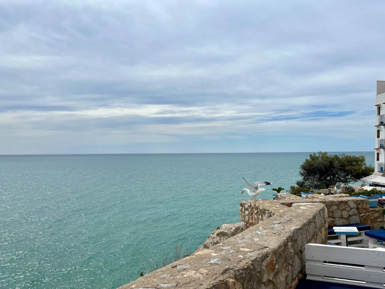 IMG_5864.jpeg