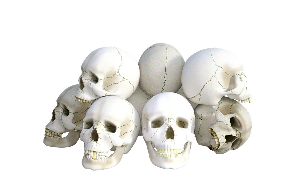 skulls-1665338_960_720.png