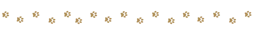 Paw Print Text Border Gold.png