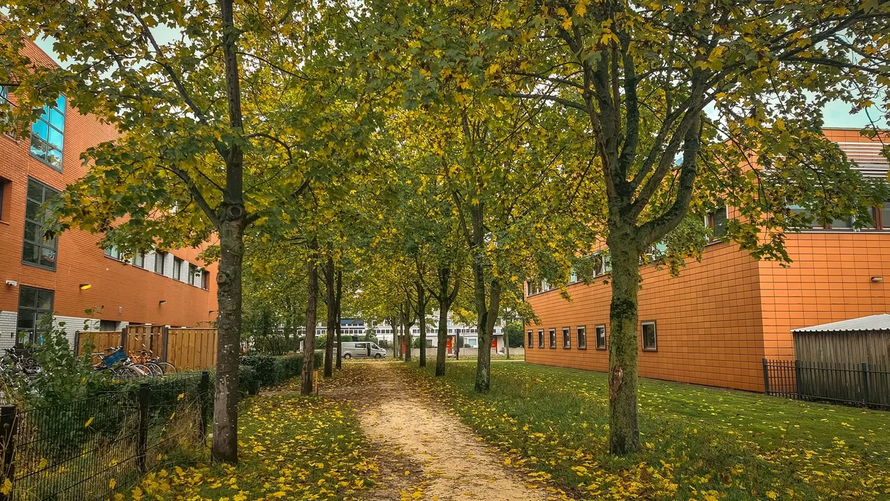 20231026_121527.jpg