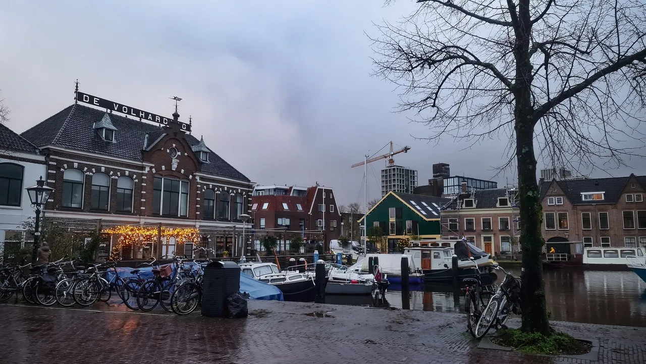 20241214_155929.jpg