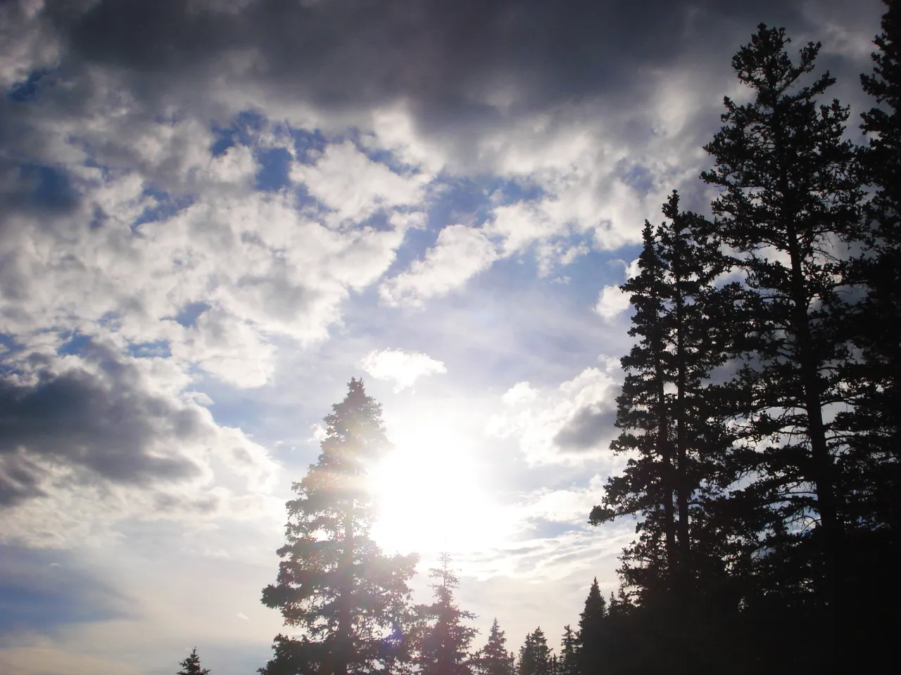 DSC09148.png