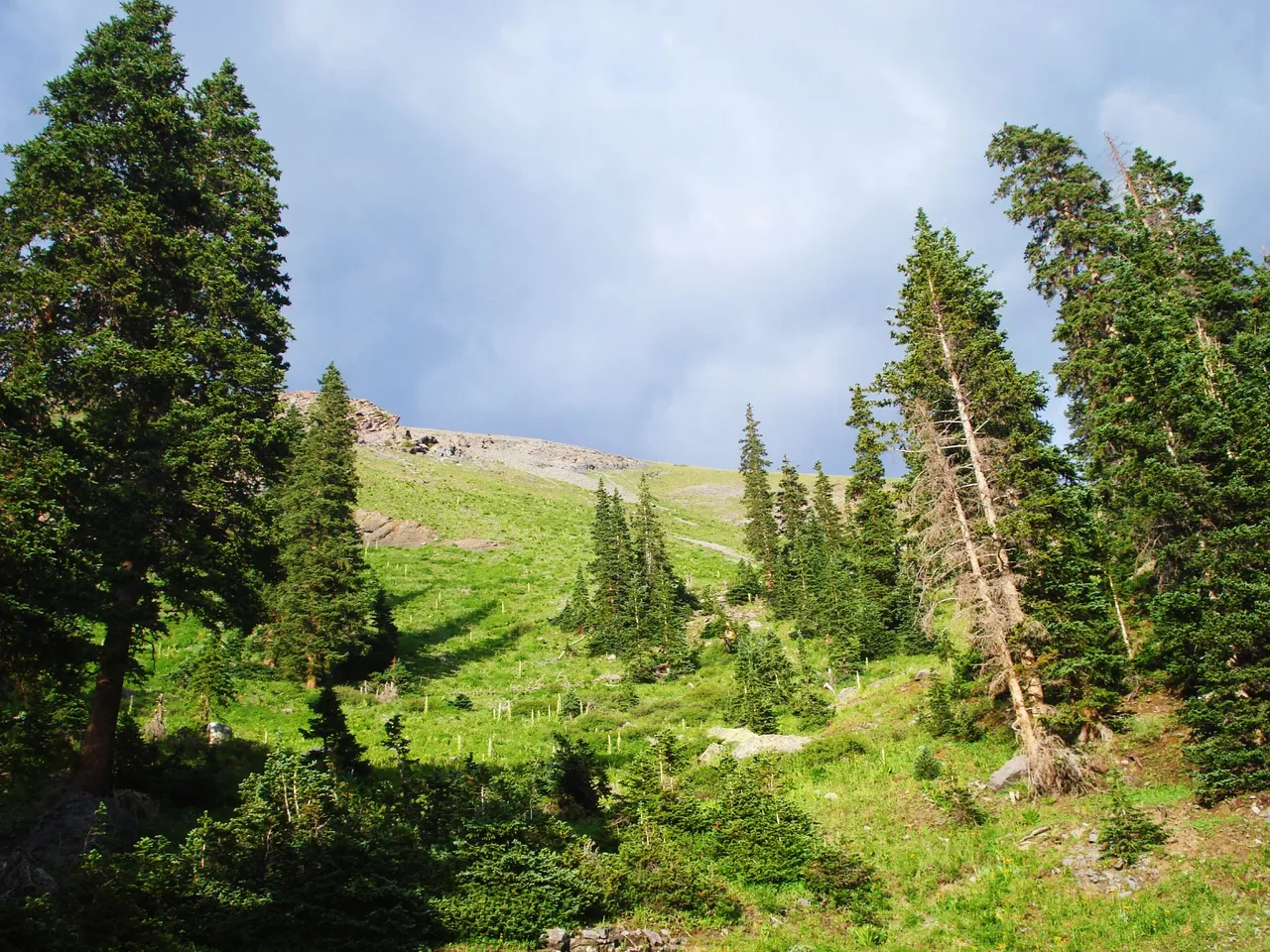 DSC09147.png