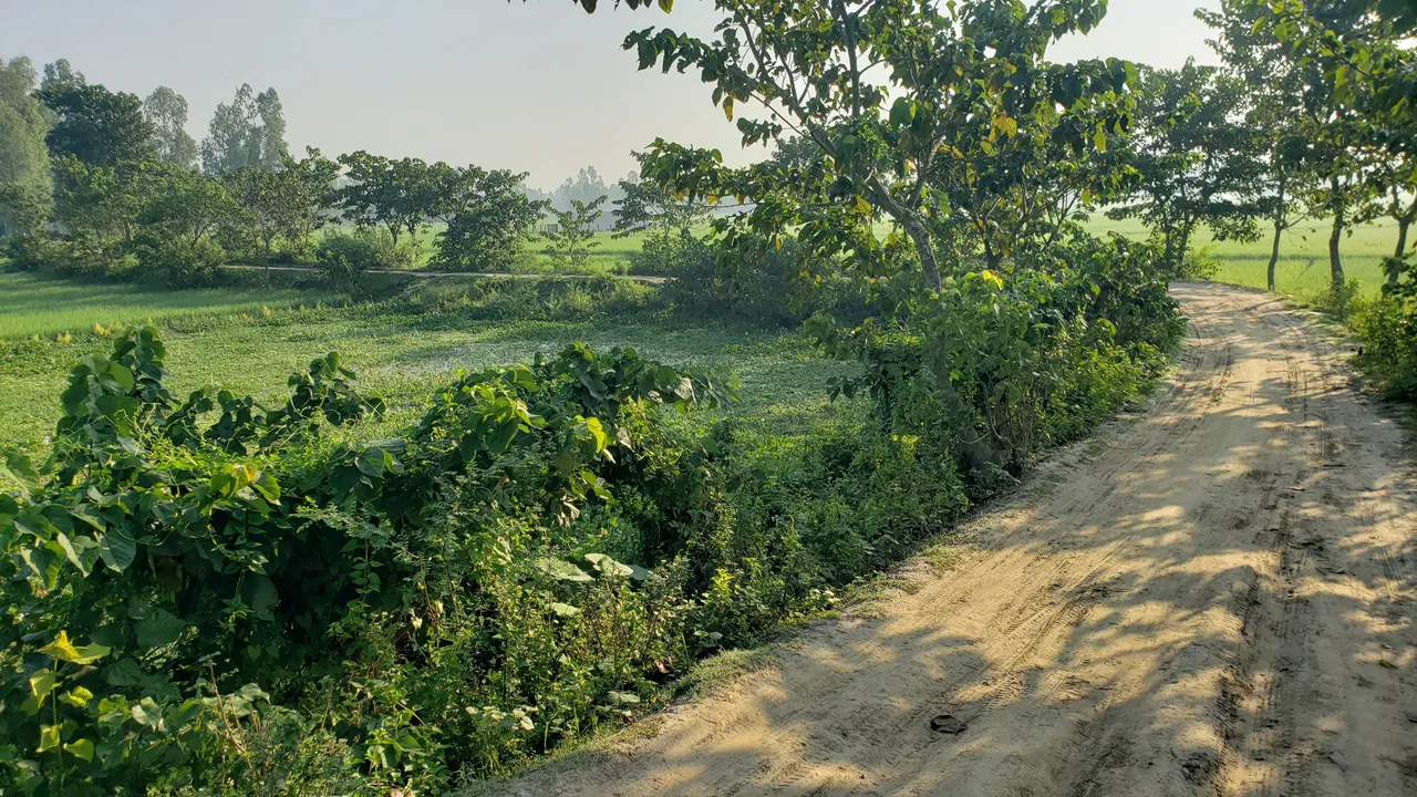 20210924_072916.jpg