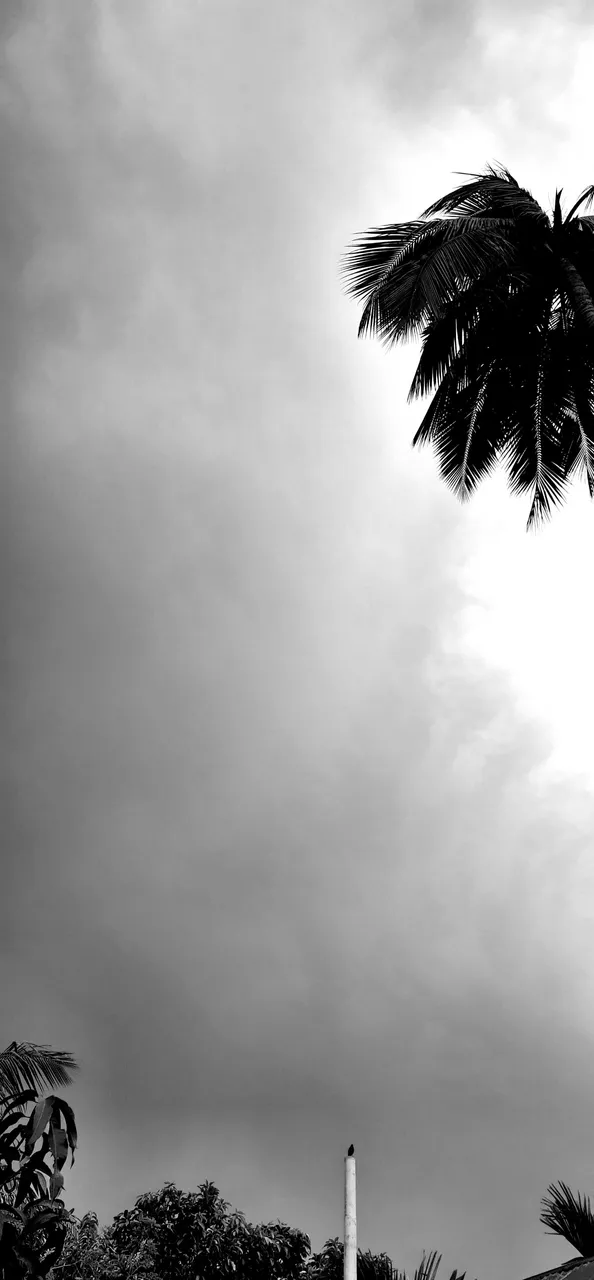 20210527_073654.jpg