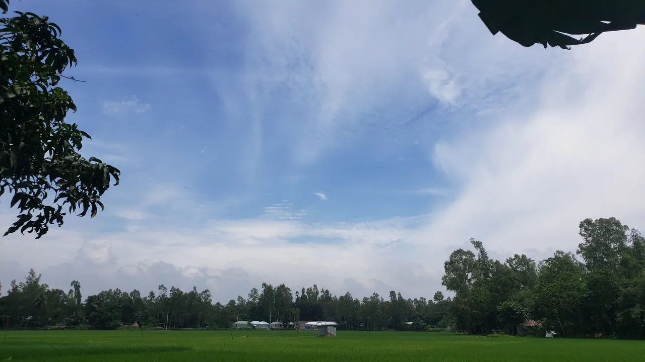 20210828_115731.jpg