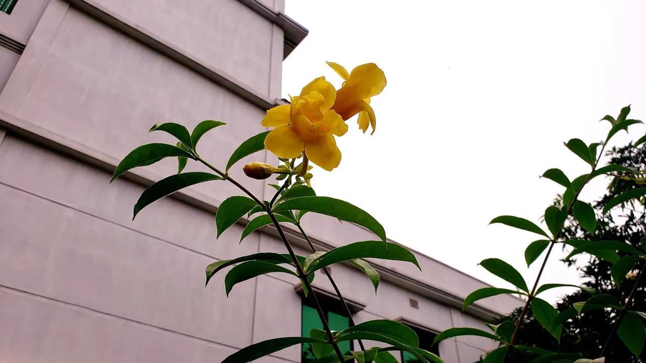 20210901_124520.jpg
