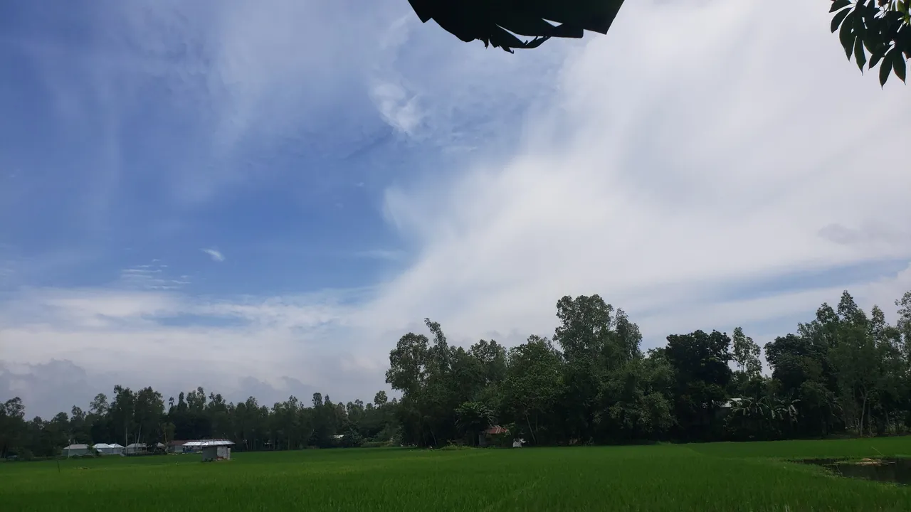 20210828_115748.jpg