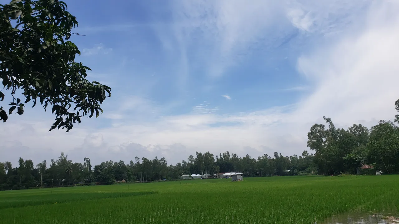 20210828_115741.jpg