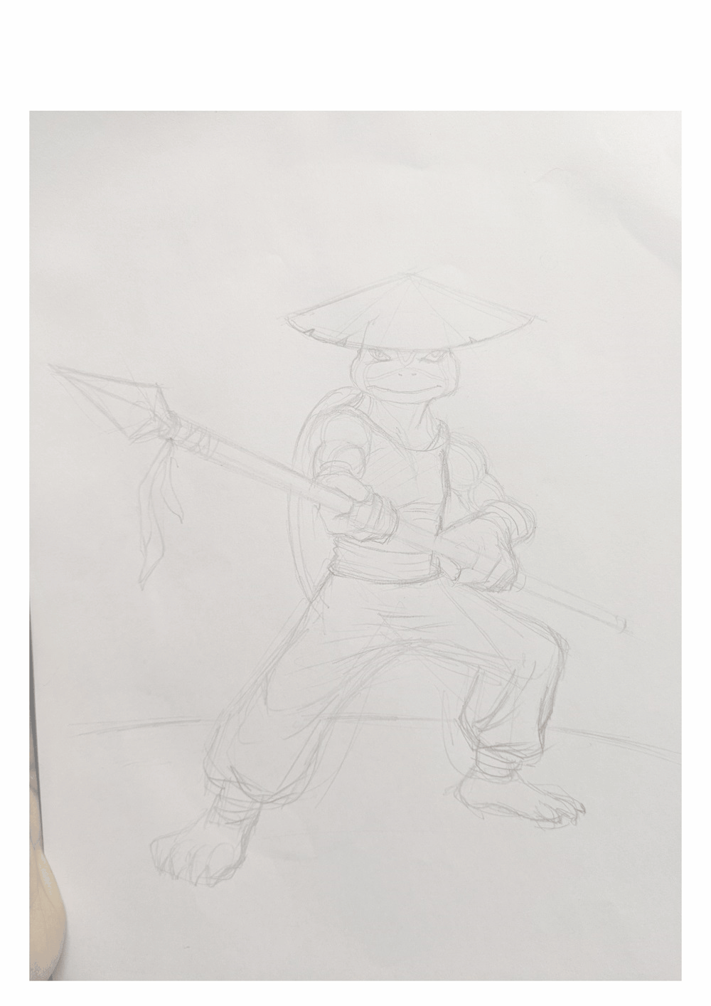tortisianfighter.gif