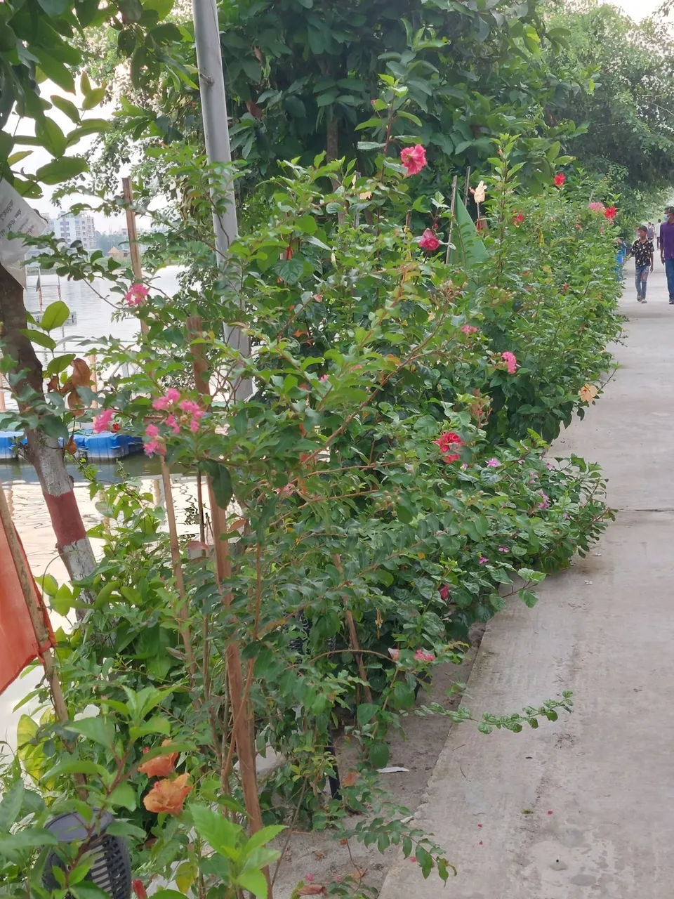 20220818_165922.jpg
