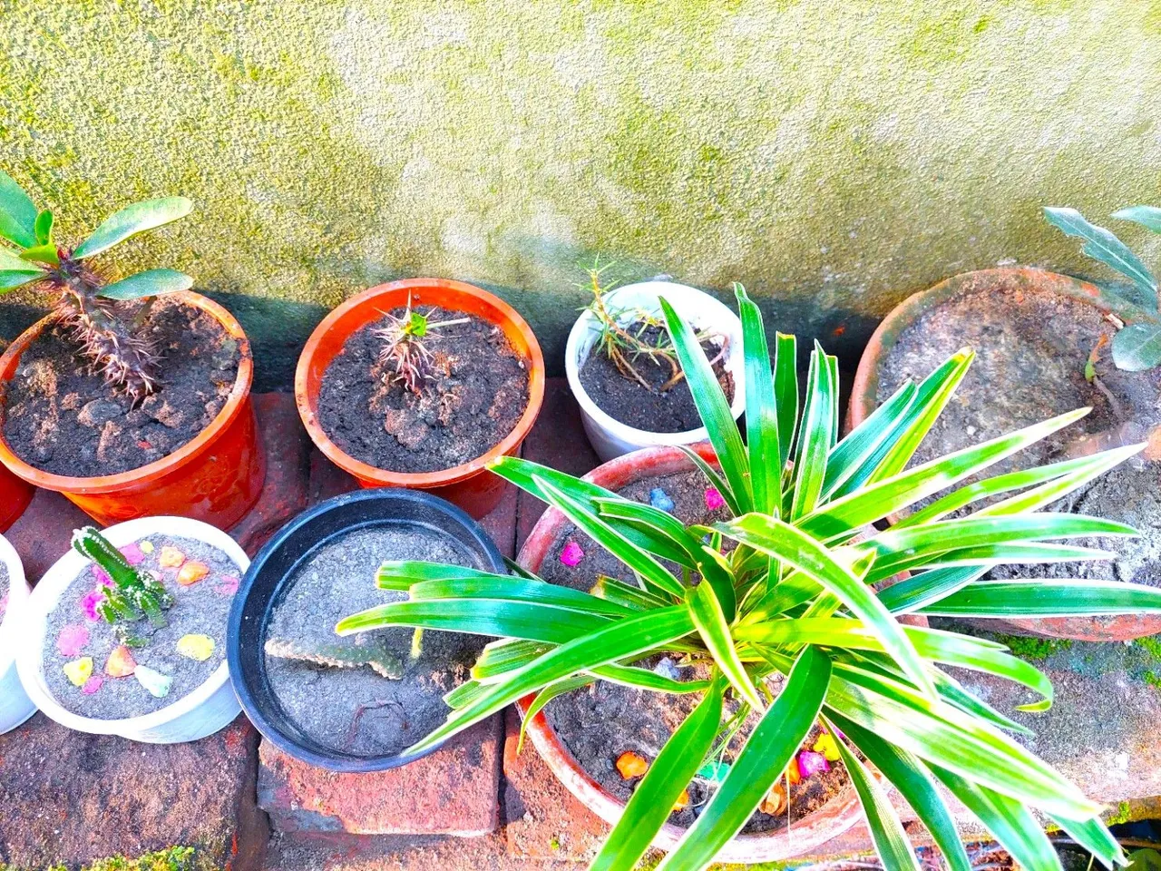 20231022_083540.jpg