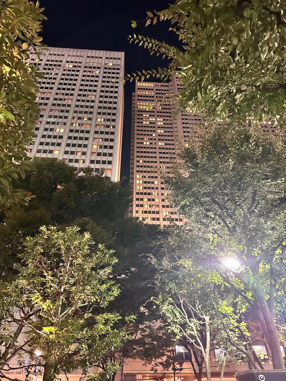 IMG_7874.jpeg