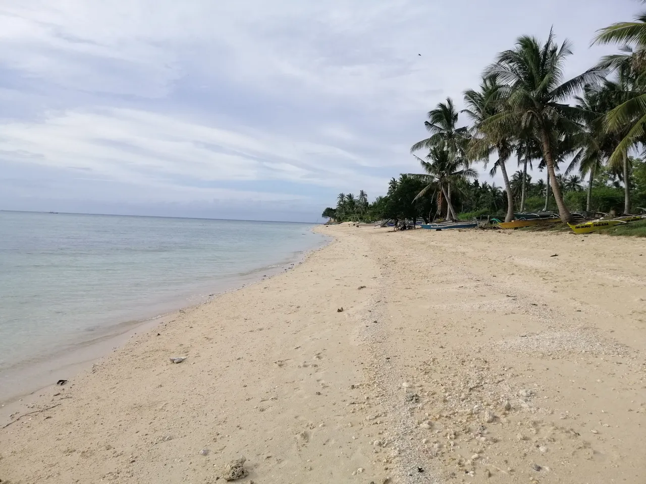 IMG_20191221_155015.jpg