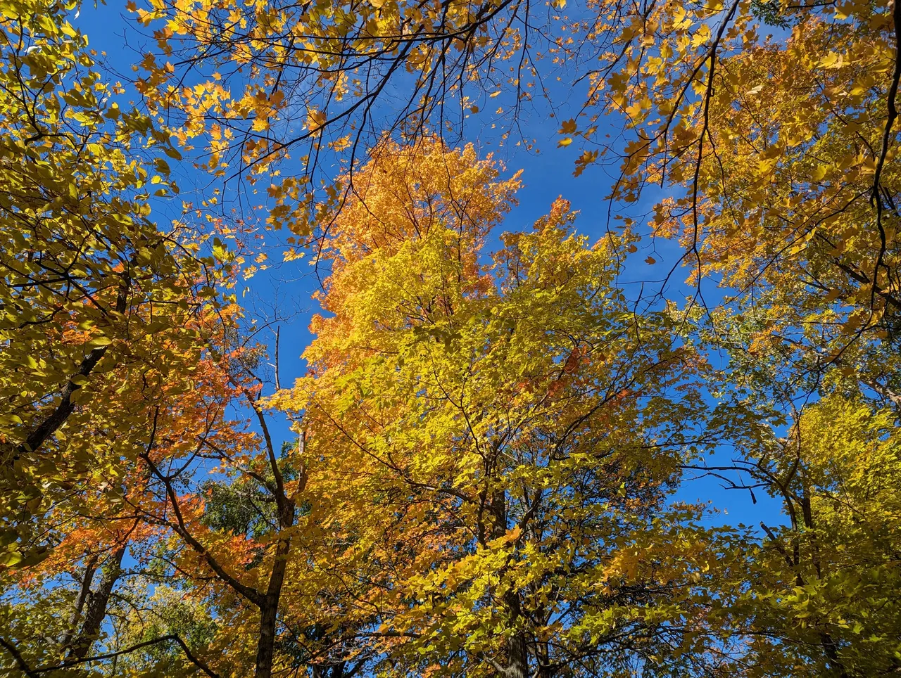 PXL_20231015_183850421.jpg