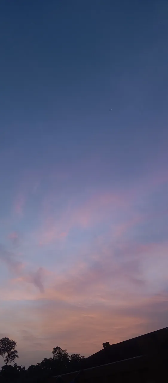 1000443451.jpg