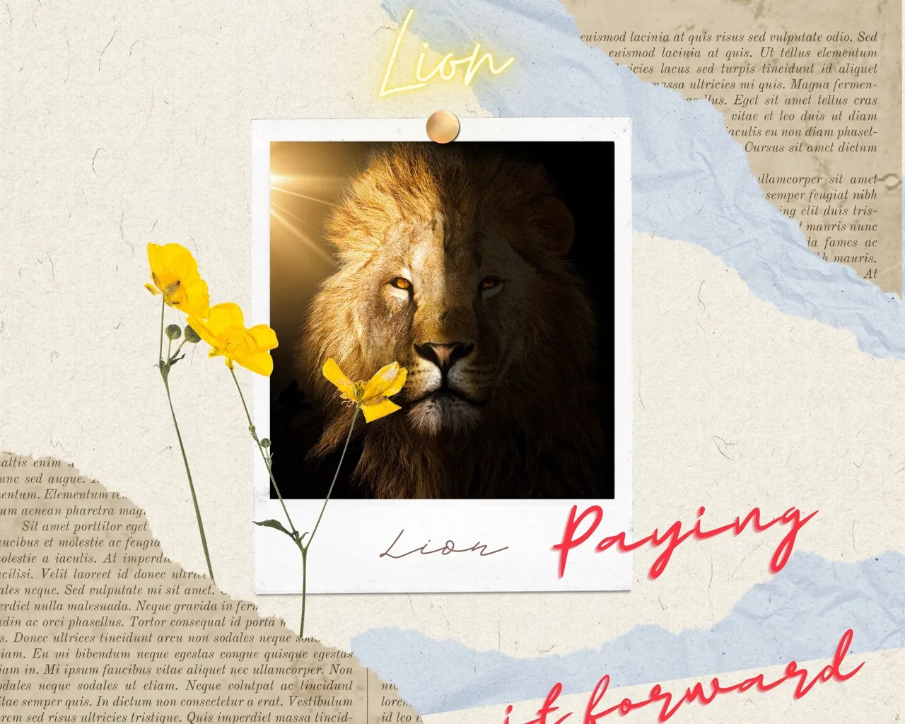 Lion.jpg