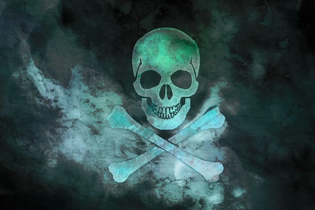 skull-4003423_1280.jpg