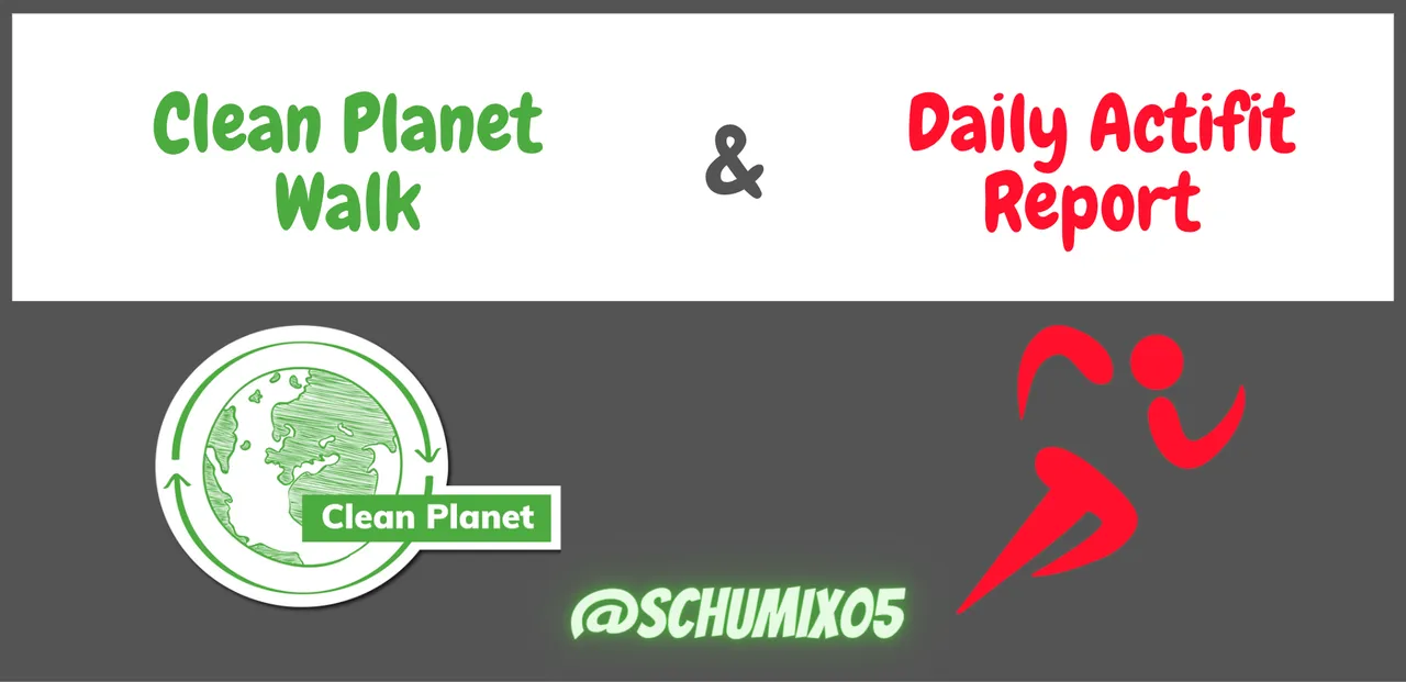 Clean Planet & Actifit Report.PNG