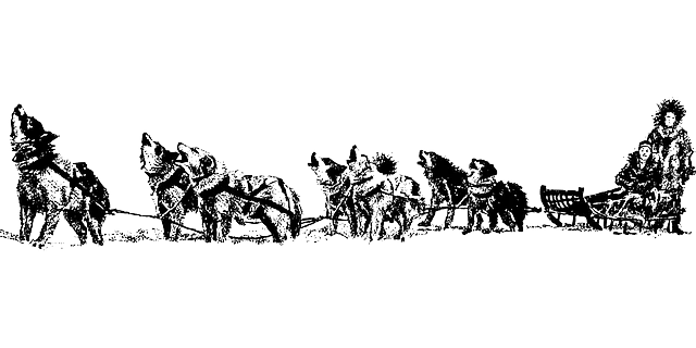 .trashed-1644940632-sledge-33833_640.png