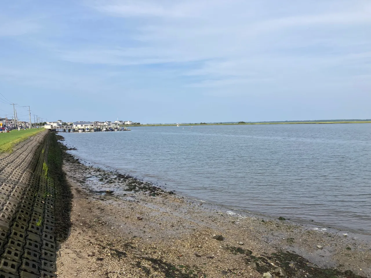 IMG_7005.jpeg