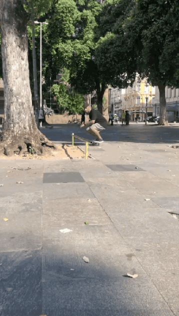 Fernandos_nollie_tail_slide.gif