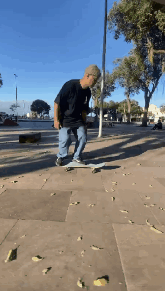 Fernandos_3.gif