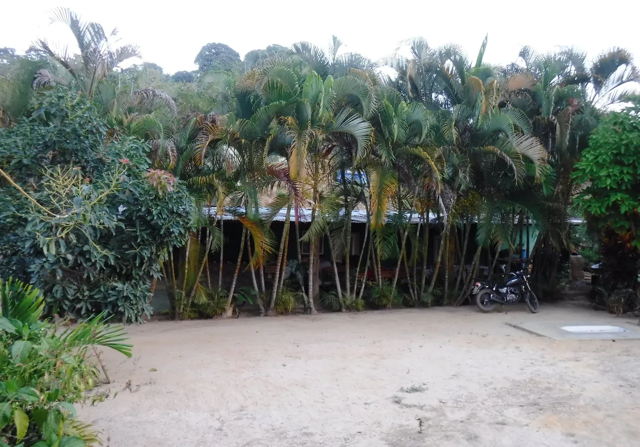 DSCF7818.JPG