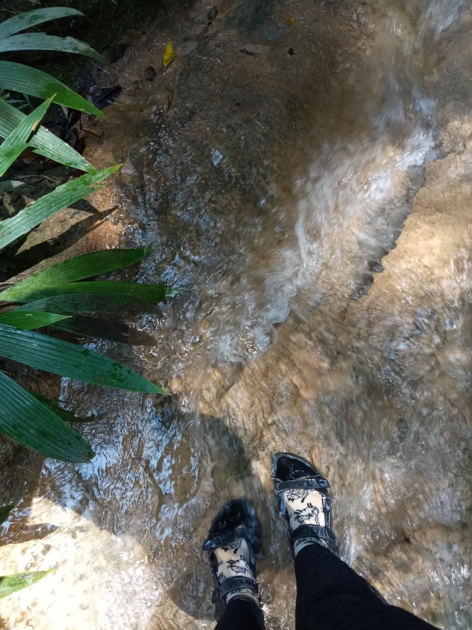 IMG_20250302_130049.jpg