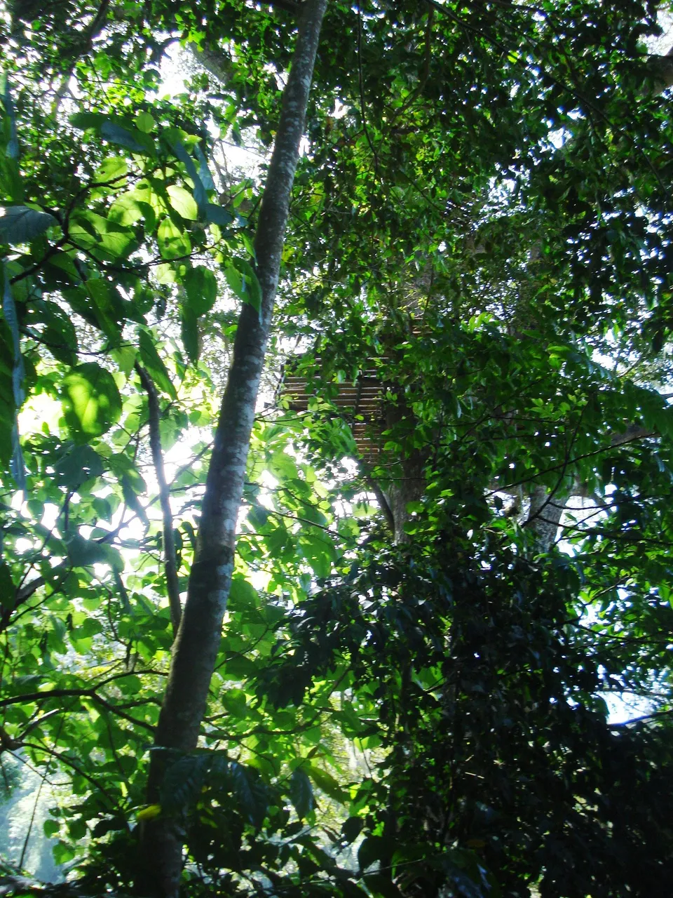 DSC00016.JPG