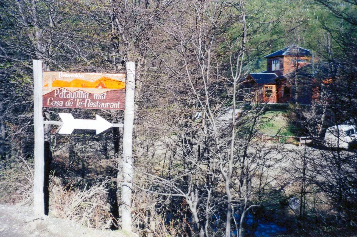 293.jpg