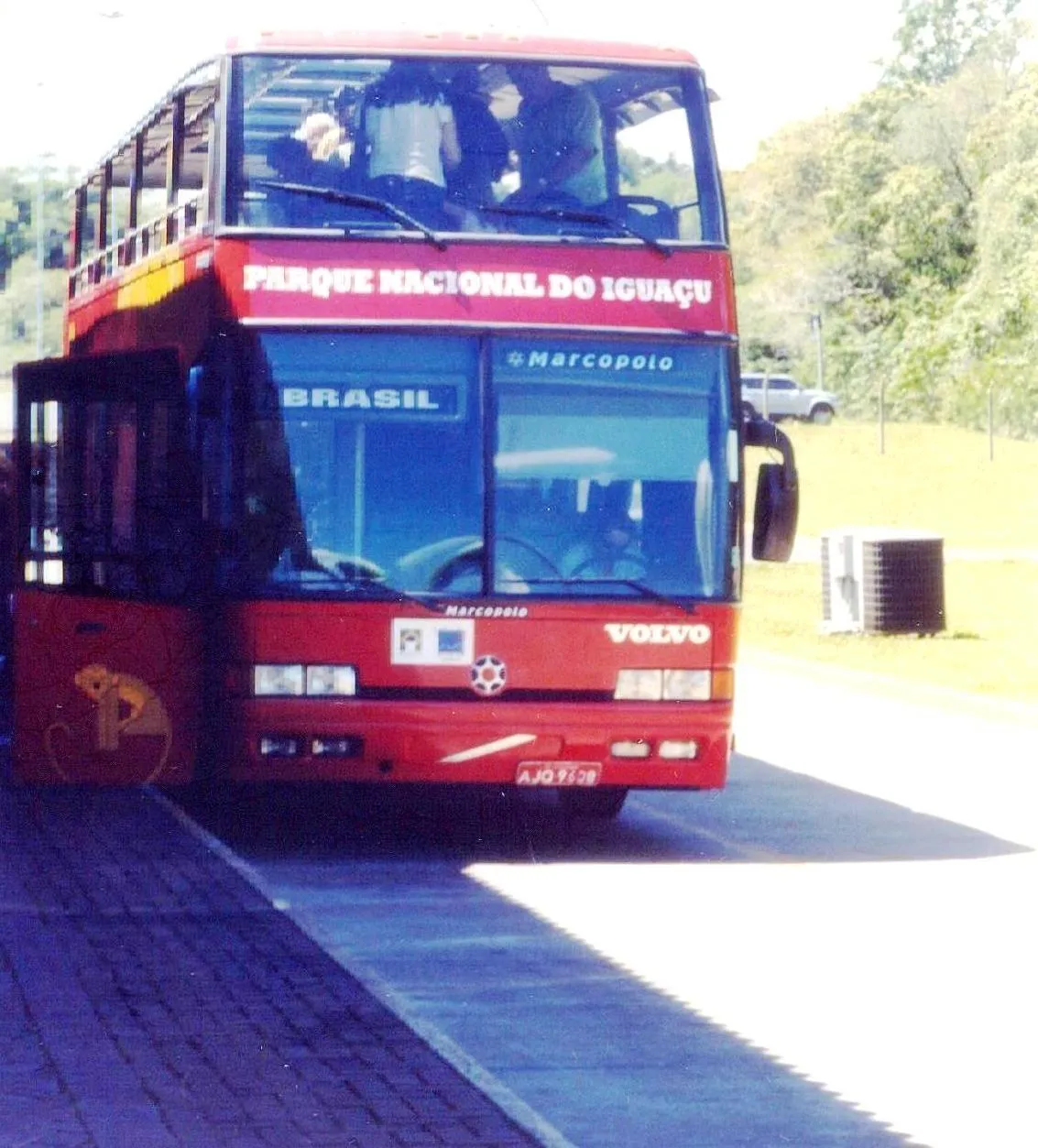 174.jpg