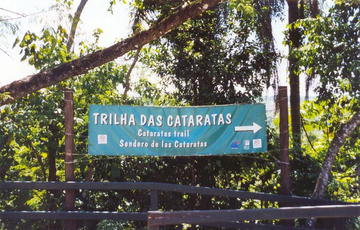 176.jpg