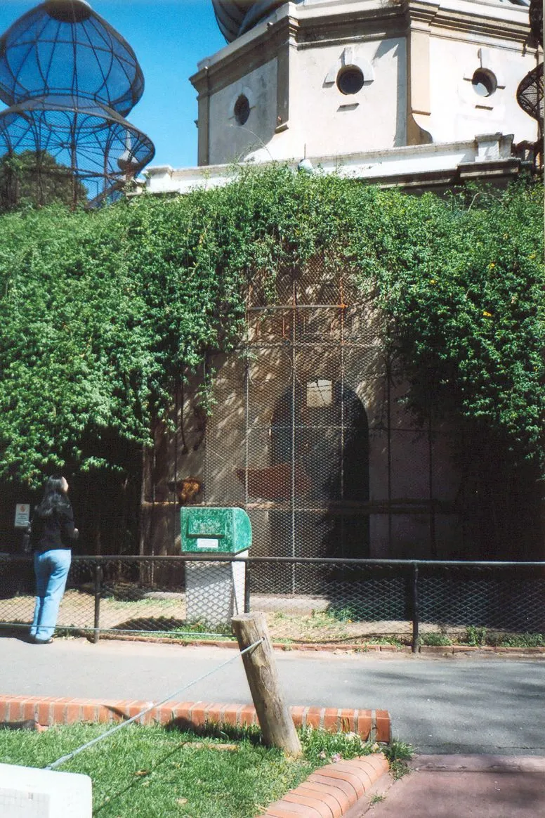 050.jpg