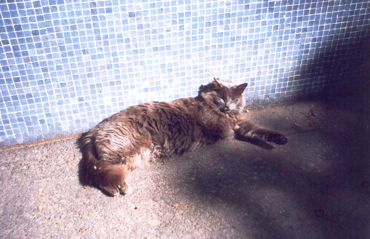 053.jpg