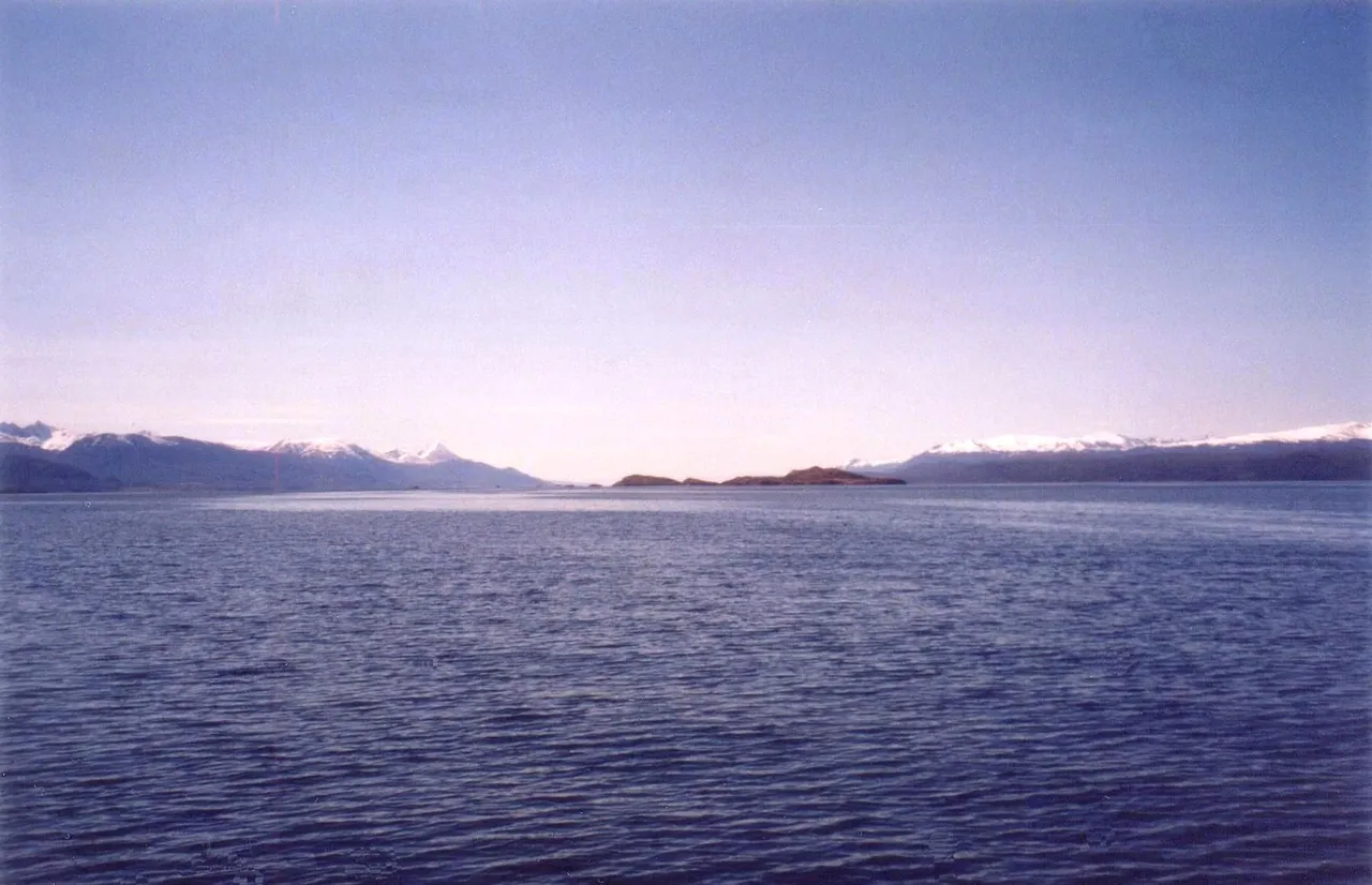 331.jpg