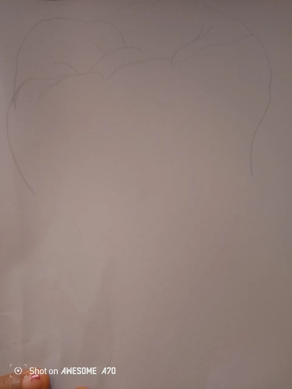 IMG_20240906_113133_206.jpg
