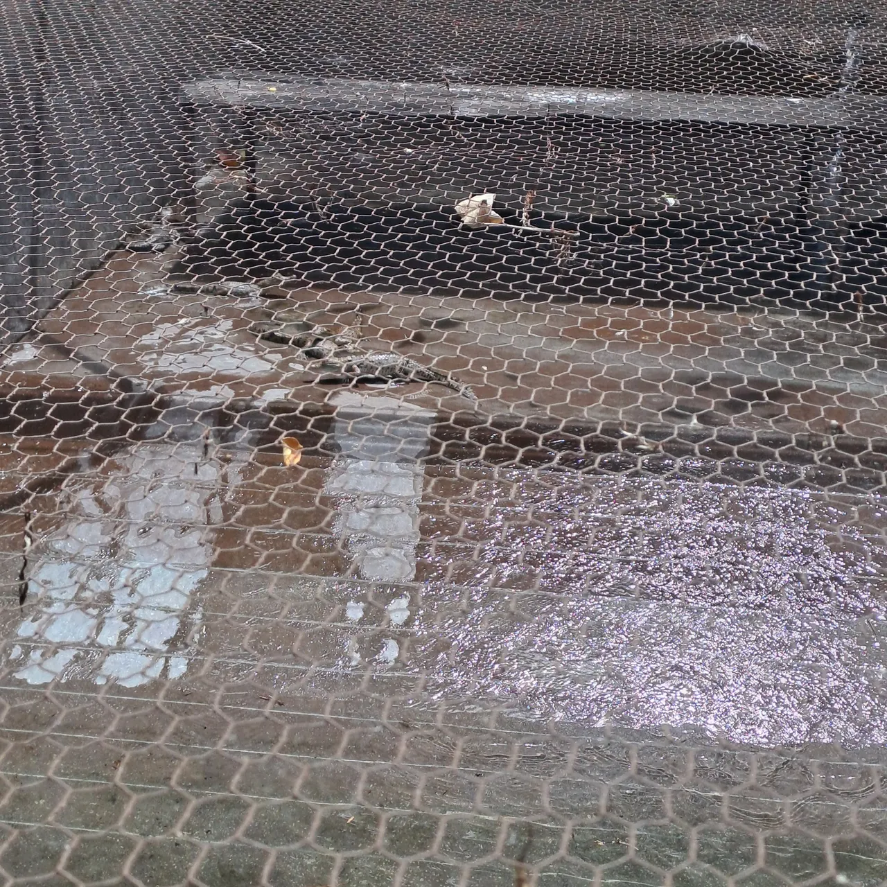 20250524_114753.jpg