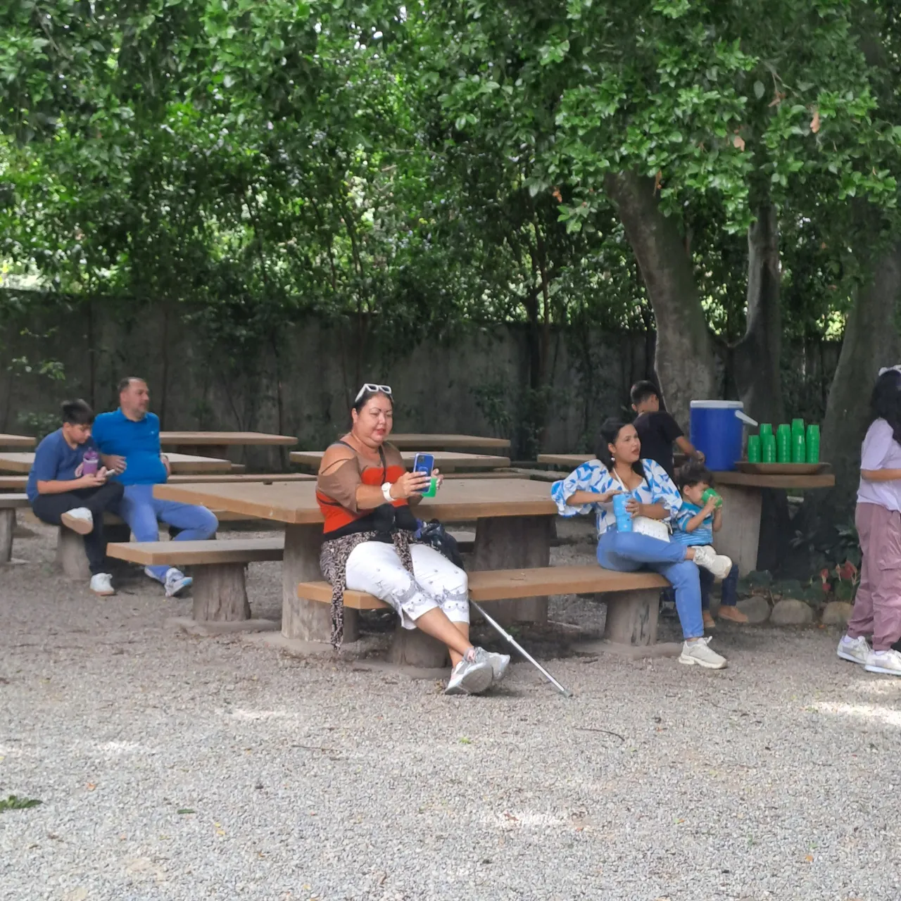 20250524_114809.jpg