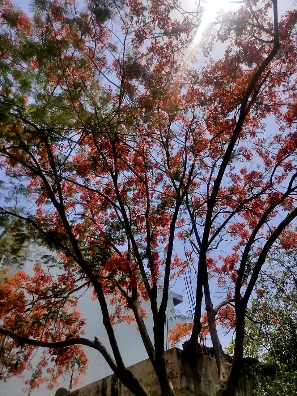 1000152444.jpg